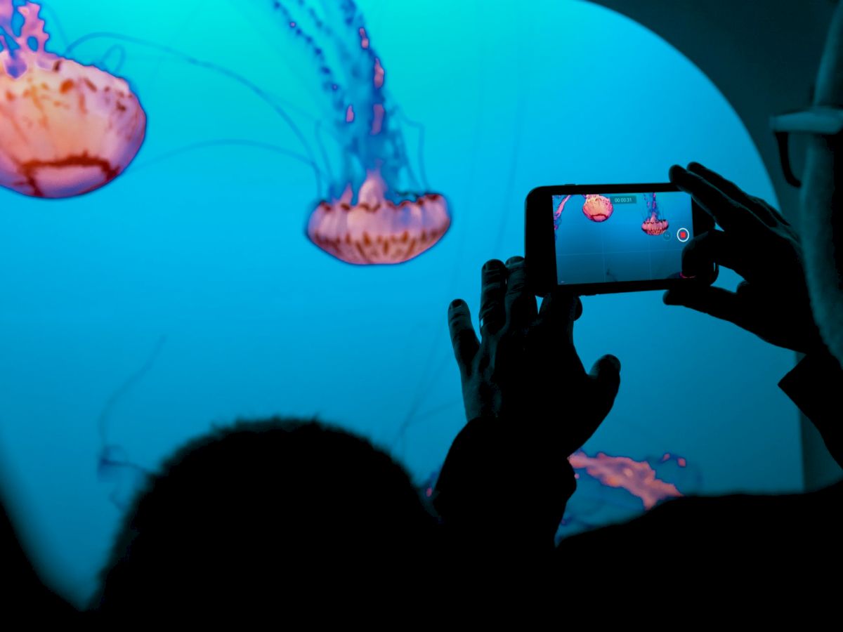 The image shows people taking photos of glowing jellyfish in an aquarium, with the jellyfish illuminated in shades of blue and purple.