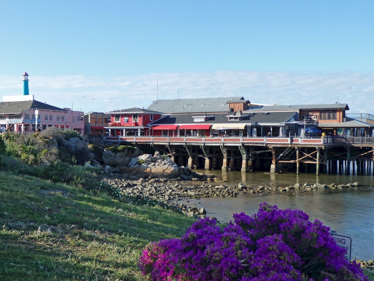 The image shows a picturesque waterfront area with colorful buildings on stilts, a lighthouse, rocky shore, green grass, and vibrant purple flowers.